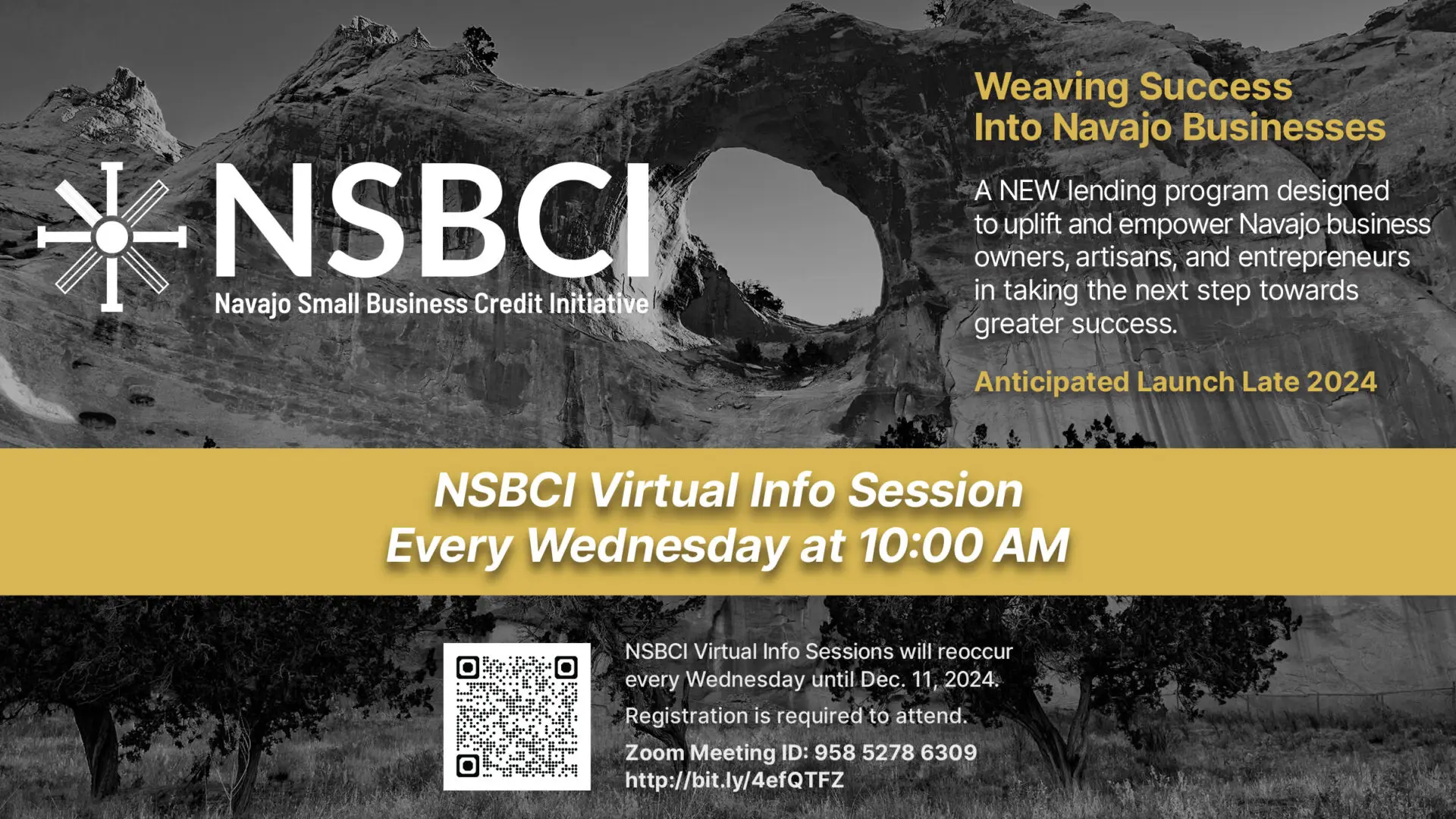 NSBCI Wednesday Weekly Info Sessions
